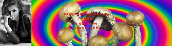 гашиш Покачи
