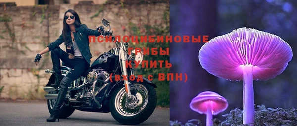 индика Покров